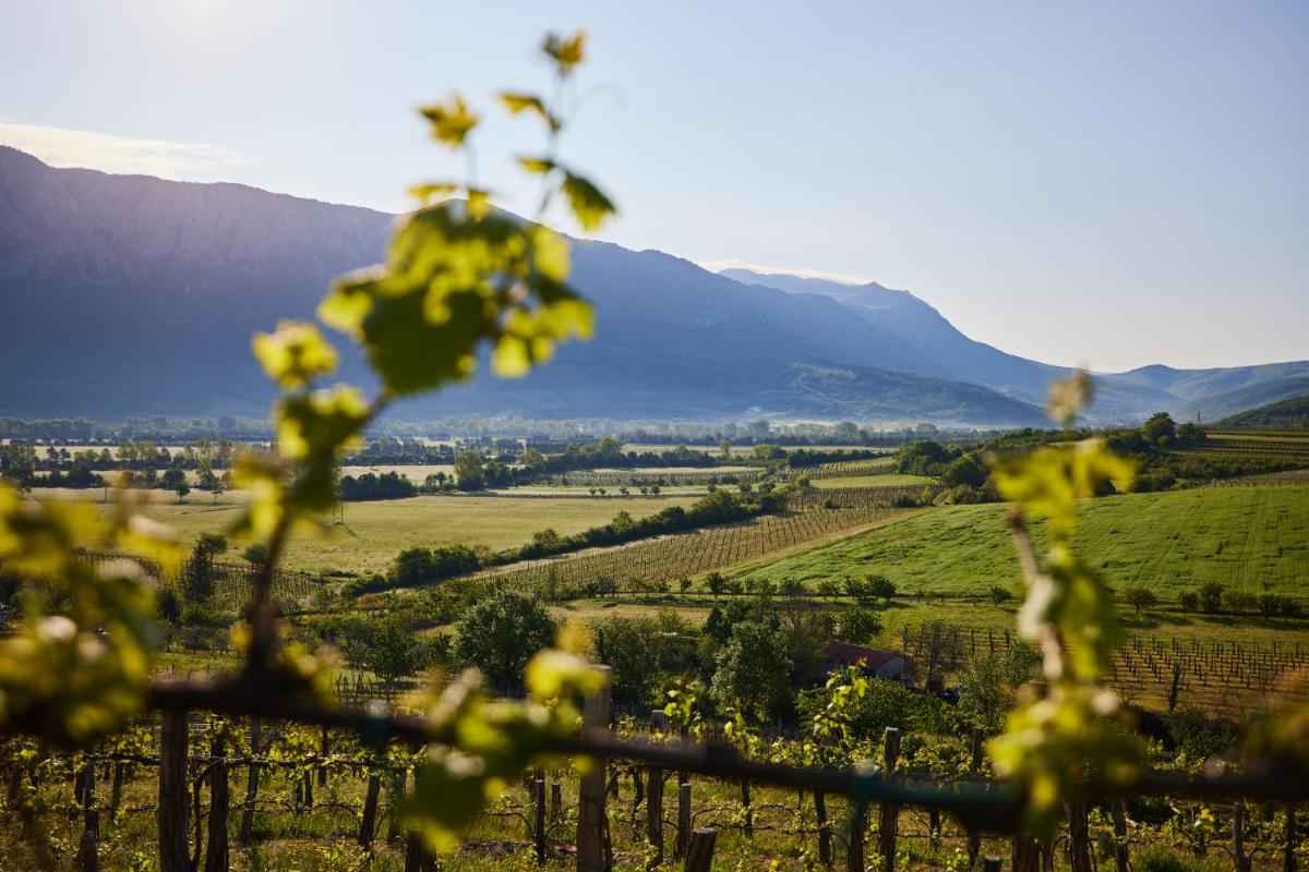 Fine Rooms Vipava - Housity