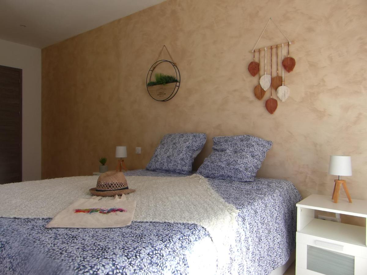 Vigne et cigale - Housity