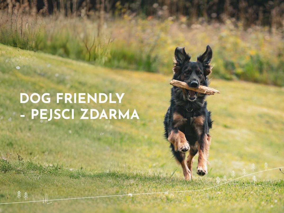 Hotel Jizerka 4 - Housity