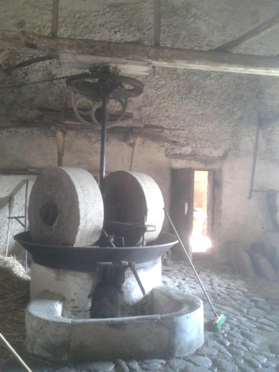 Agriturismo Frantoio Mafrica - Housity