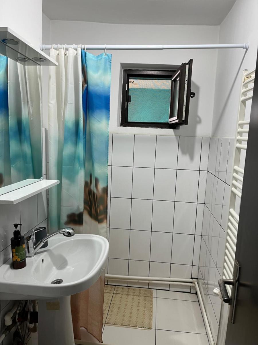 Cazare crizantemelor - Housity
