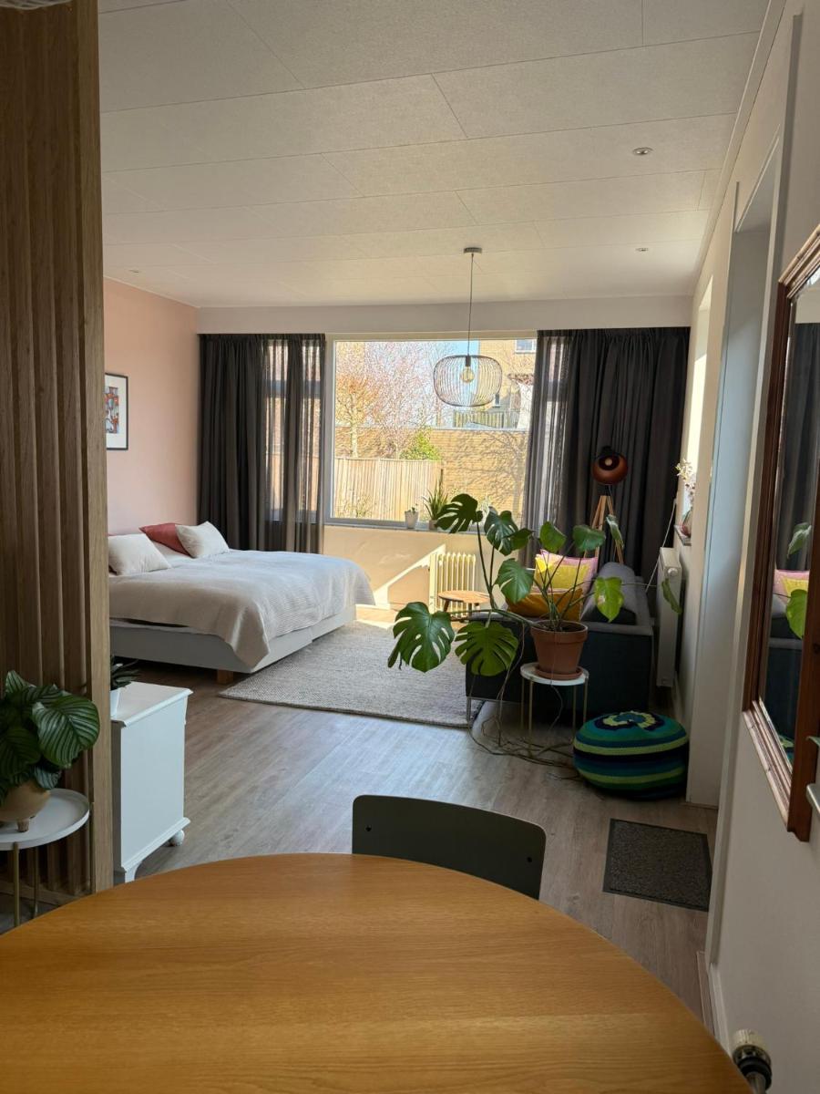 Studio Brinkstraat - Housity