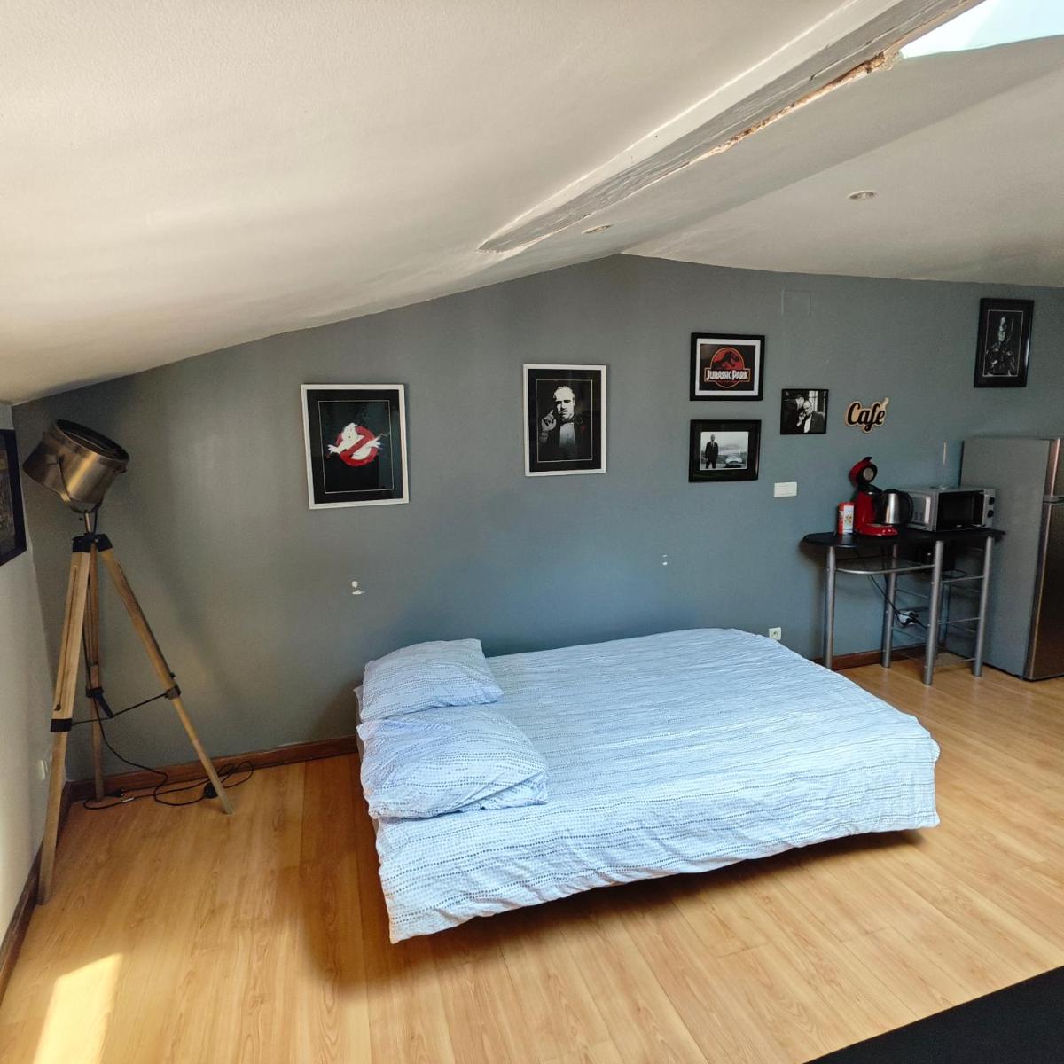 Ciné Loft 55 m2 Centre Ville - Housity