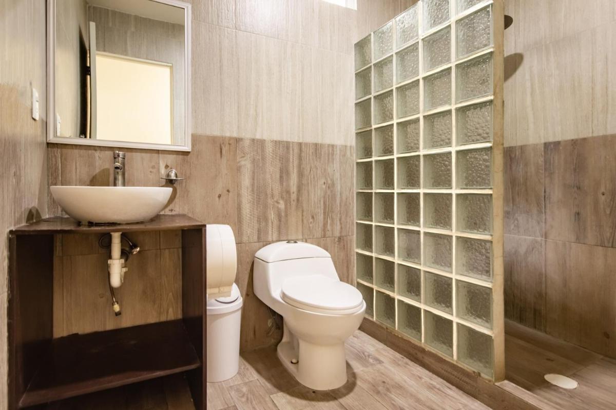 OYO Hotel Halley - Housity