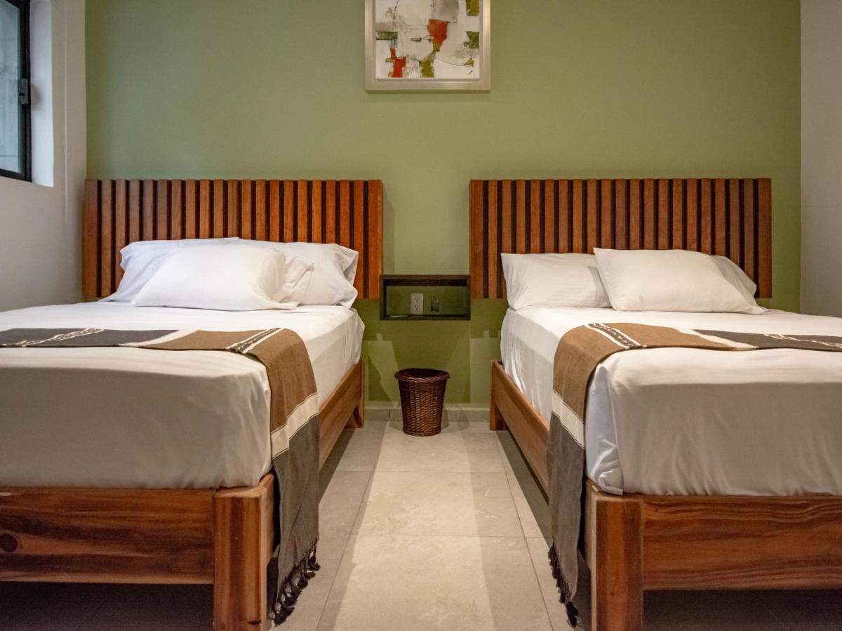 Collection O Hotel Lavanda Anzures - Housity