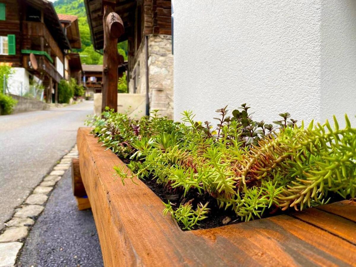 beim Brunnen - Housity