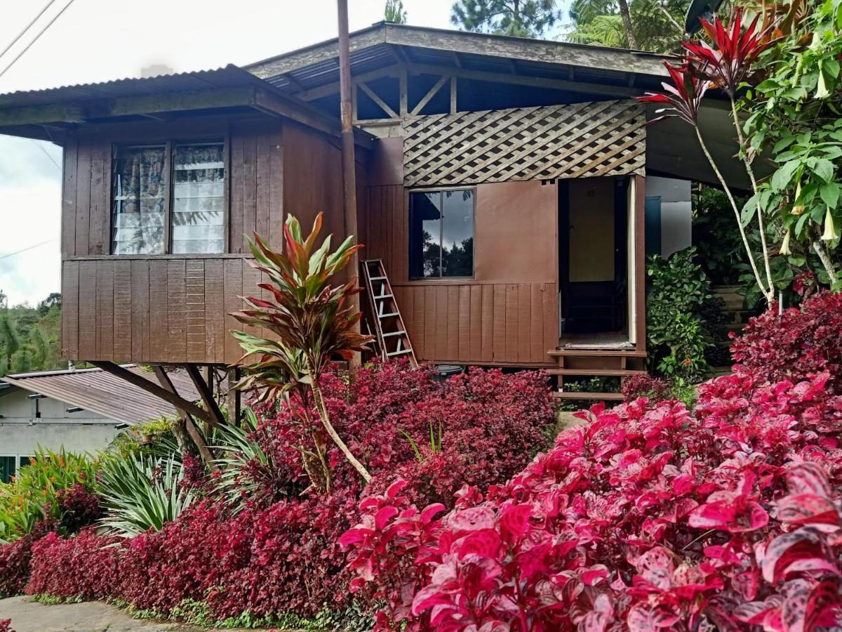 OYO Home 90430 Mountain Resthouse - Housity