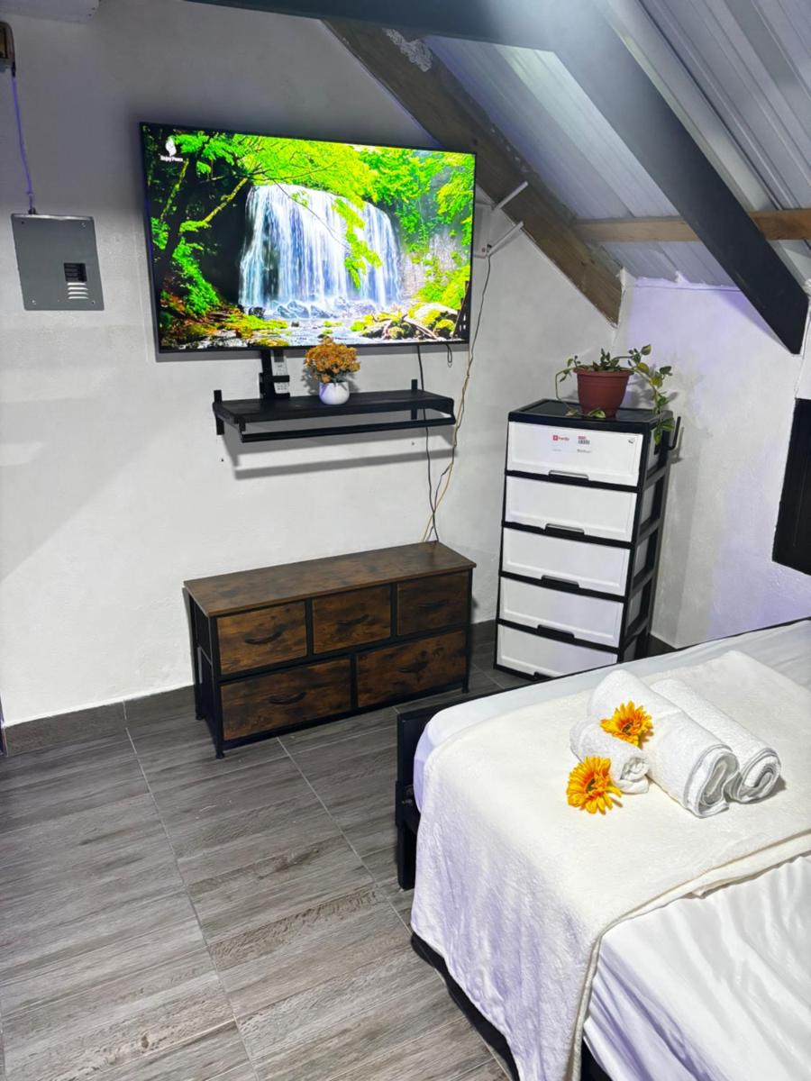 Lovely tiny studio - Housity