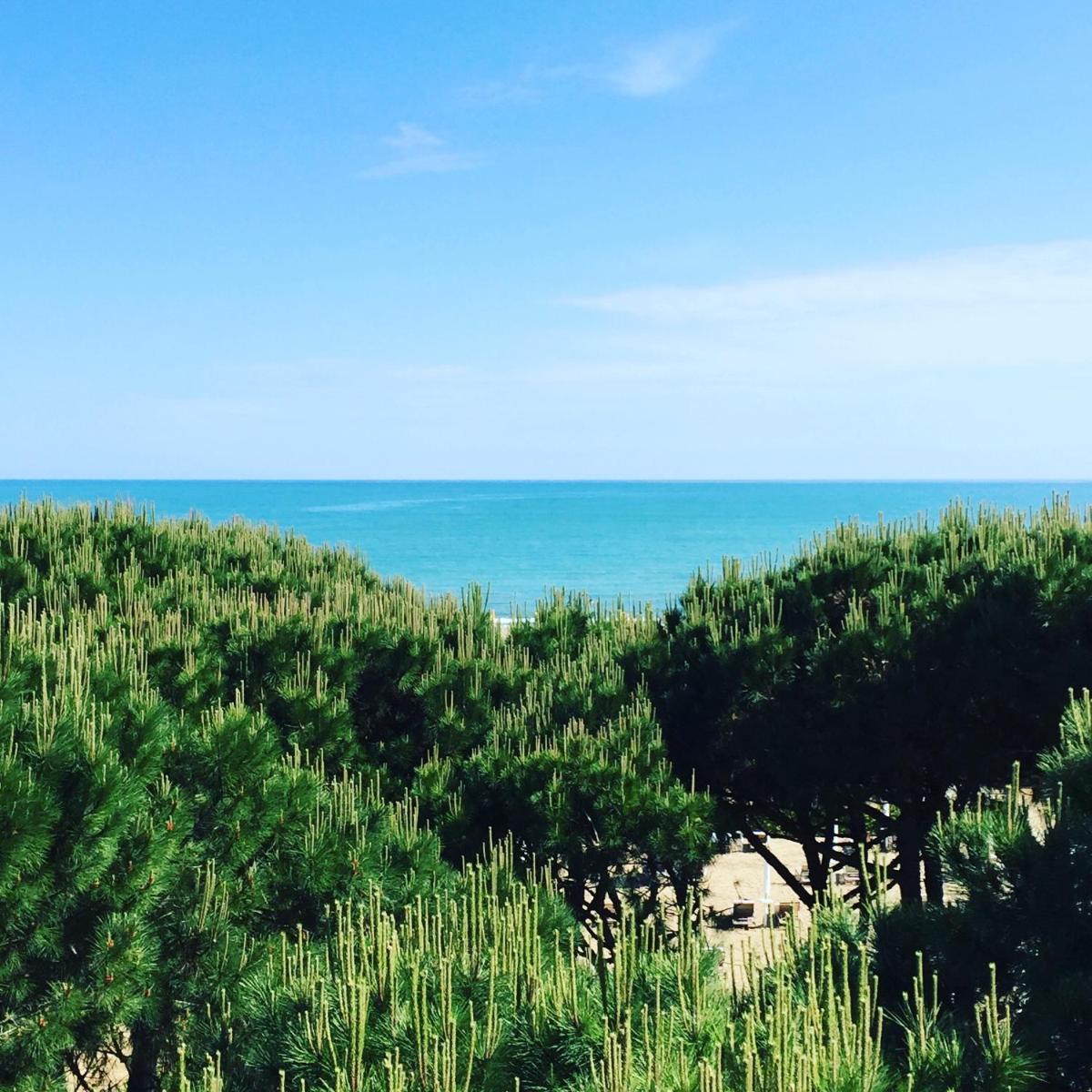 Hotel Mediterraneo Suite&Residence - Housity