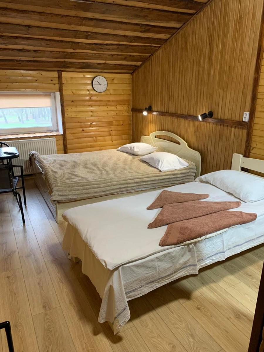 Hotel Mlyn - Housity