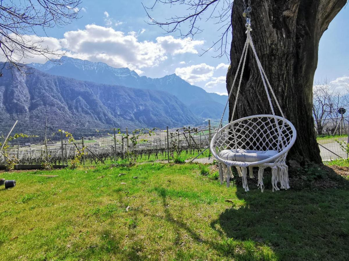 Villa 4 Musketiere - Housity