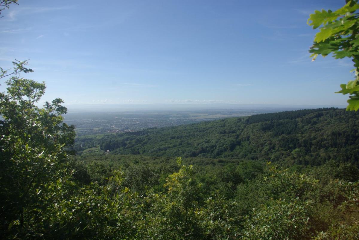 Paysage naturel près de l'appart'hôtel