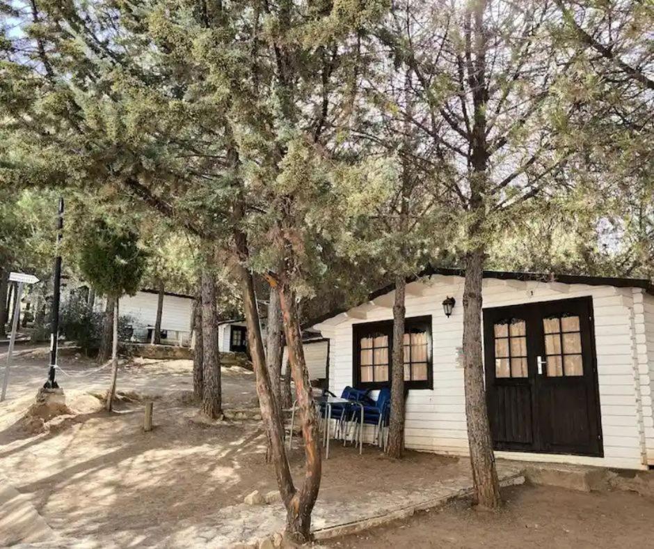 Alua Centro de Ocio - Camping Valdearenas - Housity