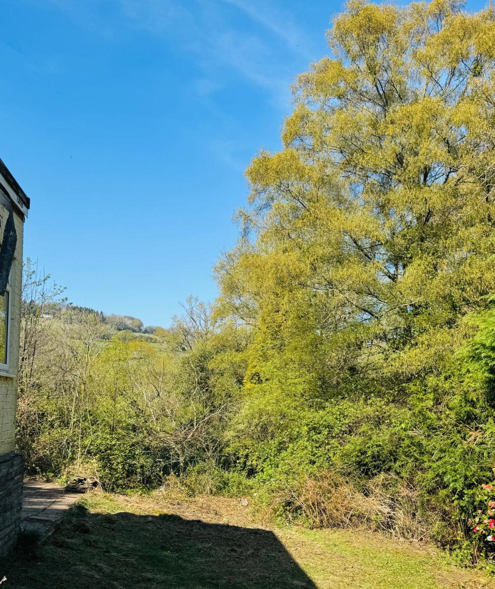 Bryn Gwyn Lodge - Housity