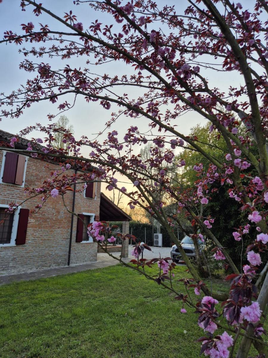 Il Bivio - Housity