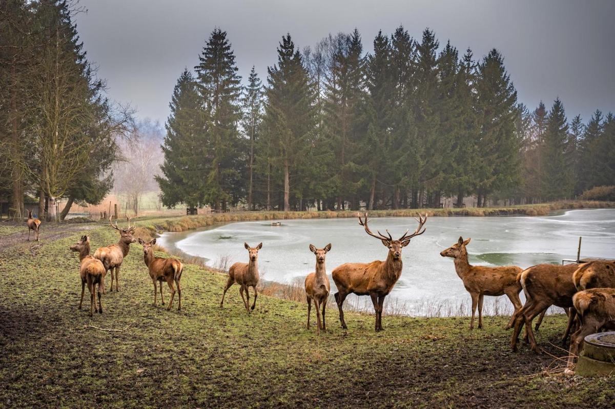 Ferienhaus Fichtenzauber - Naturidylle am Wildgehege & Pfrunger Ried - Nähe Bodensee - Housity