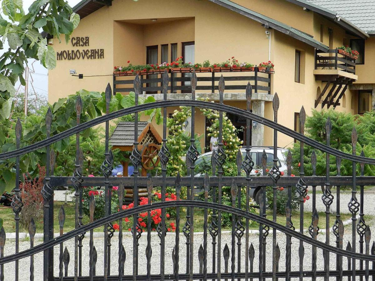 Pensiunea CASA MOLDOVEANA - Housity