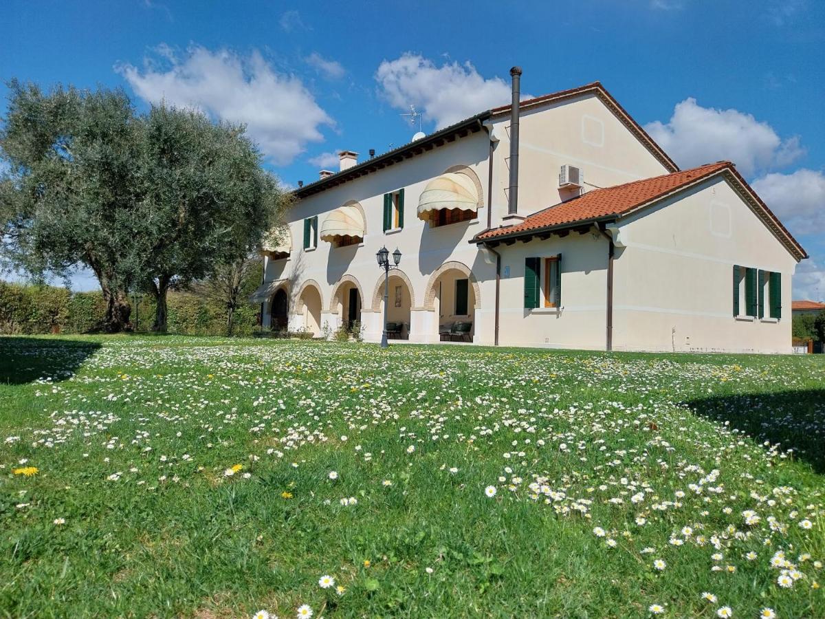 Villa Cattarin - Housity