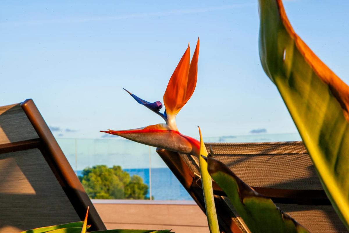 Paisaje cerca de este hotel