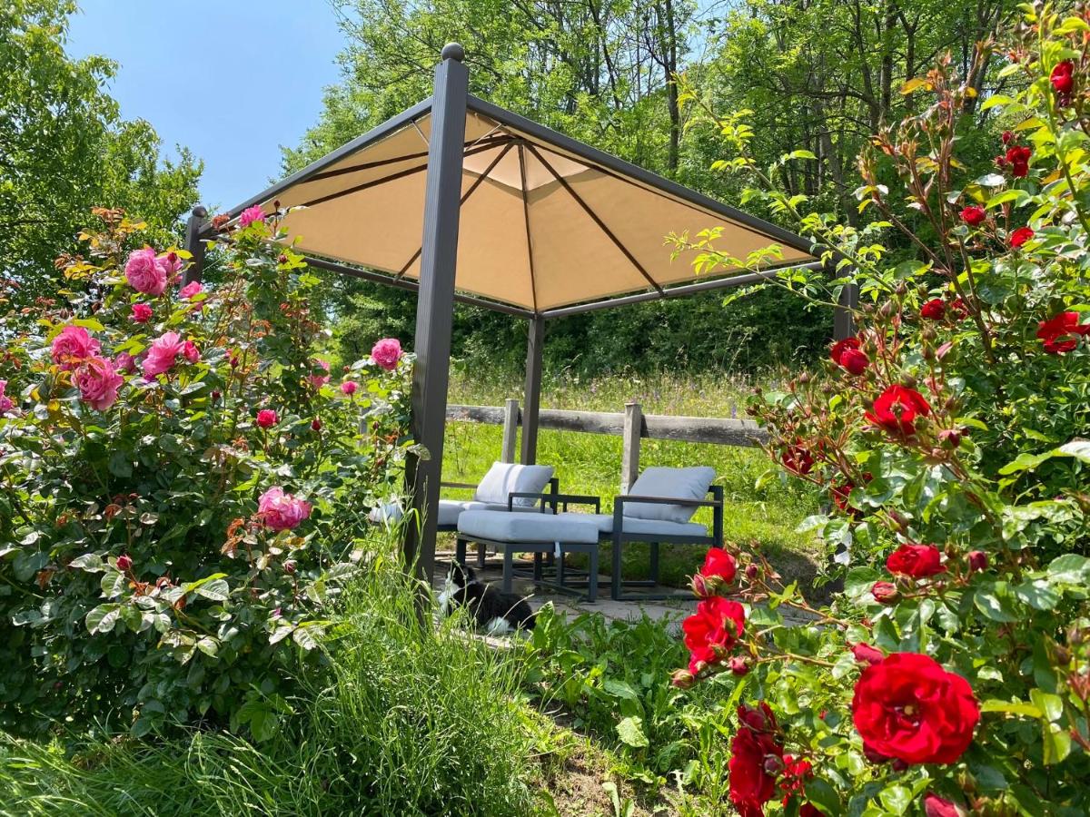 Casa Francesca - Housity