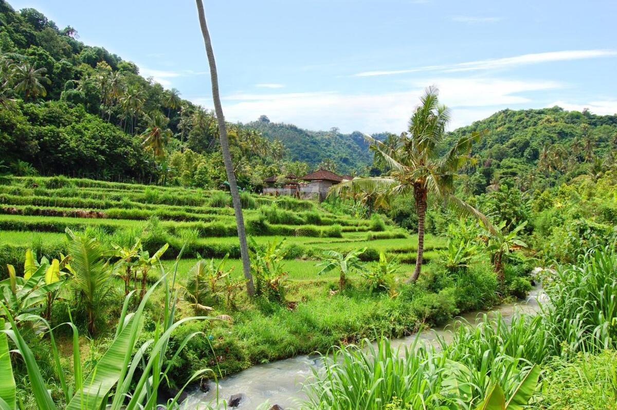 Temple Retreat Rumah Cantik - Housity