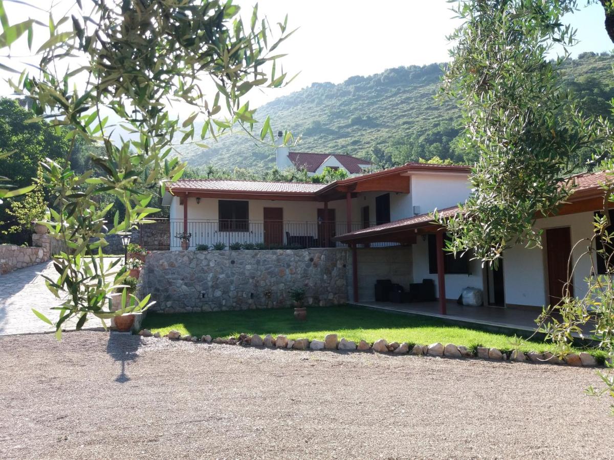 La valle del re - Housity