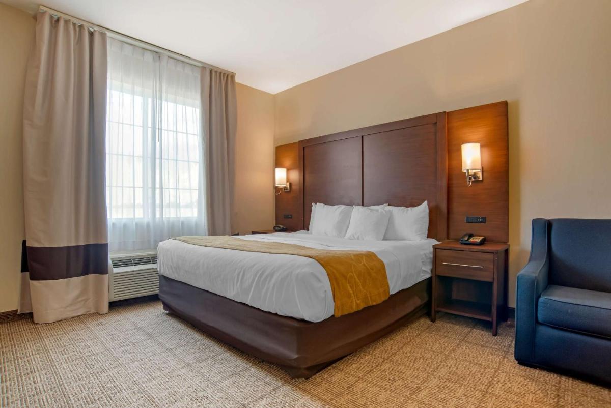 Comfort Suites Alexandria North - Housity