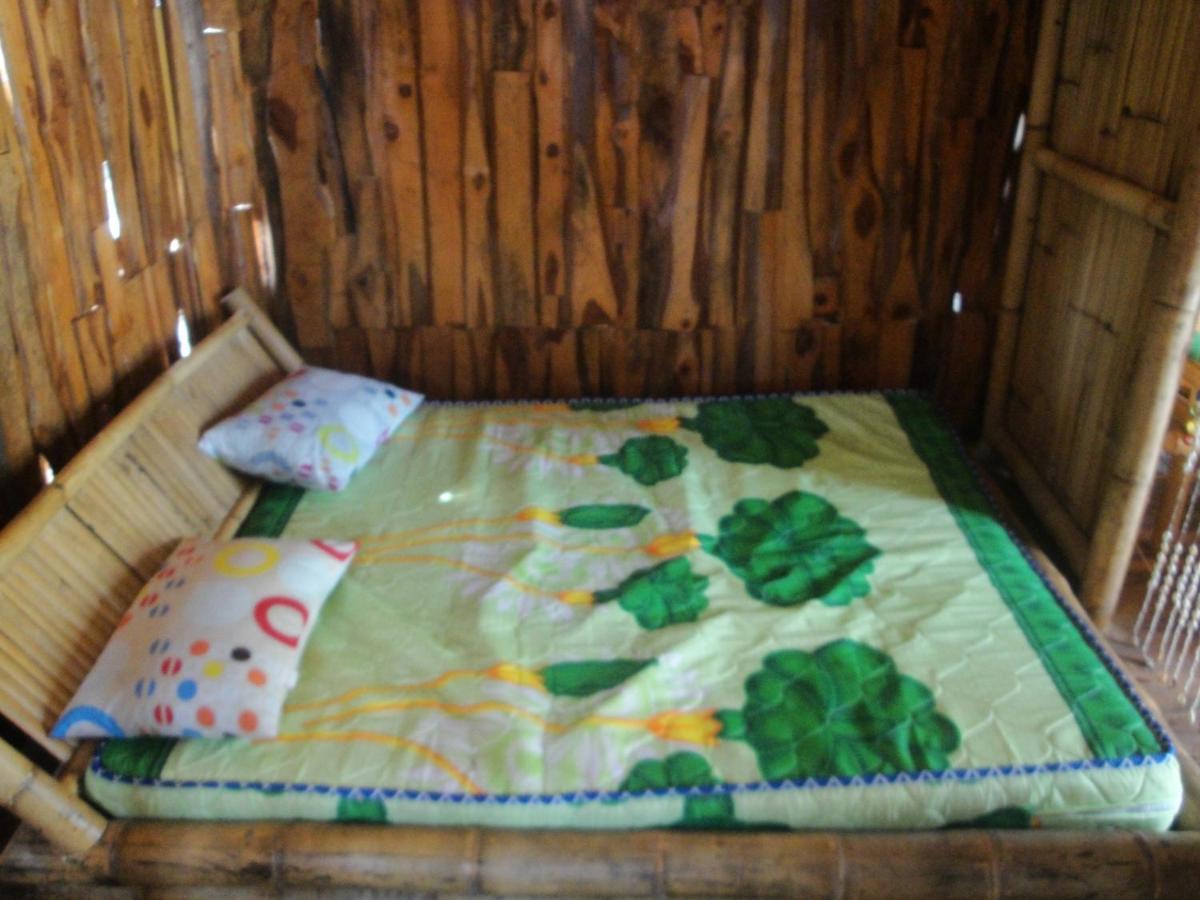 OCD Beach Cafe & Hostel - Housity