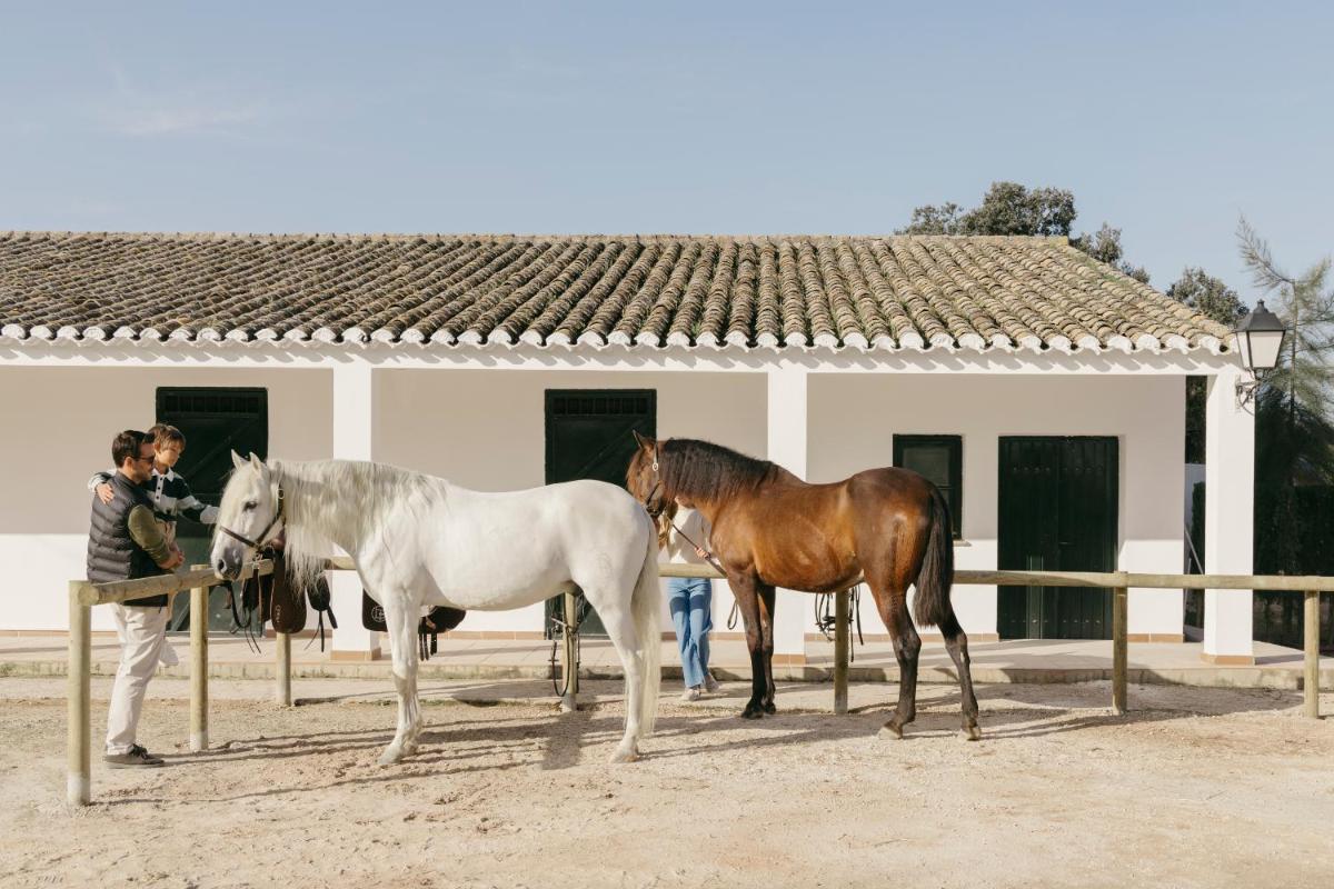 Animales en el hotel o alrededores