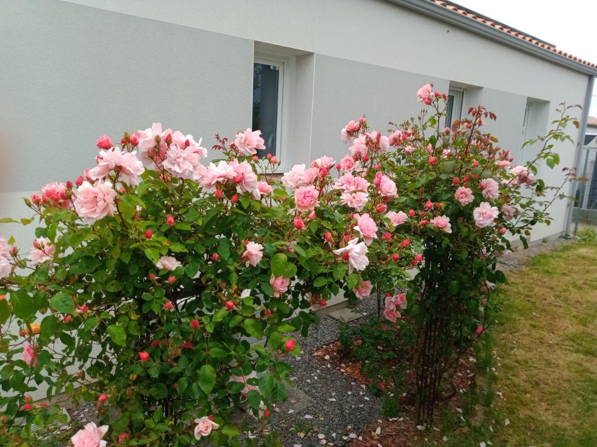 perle rare à énergie positive - Housity