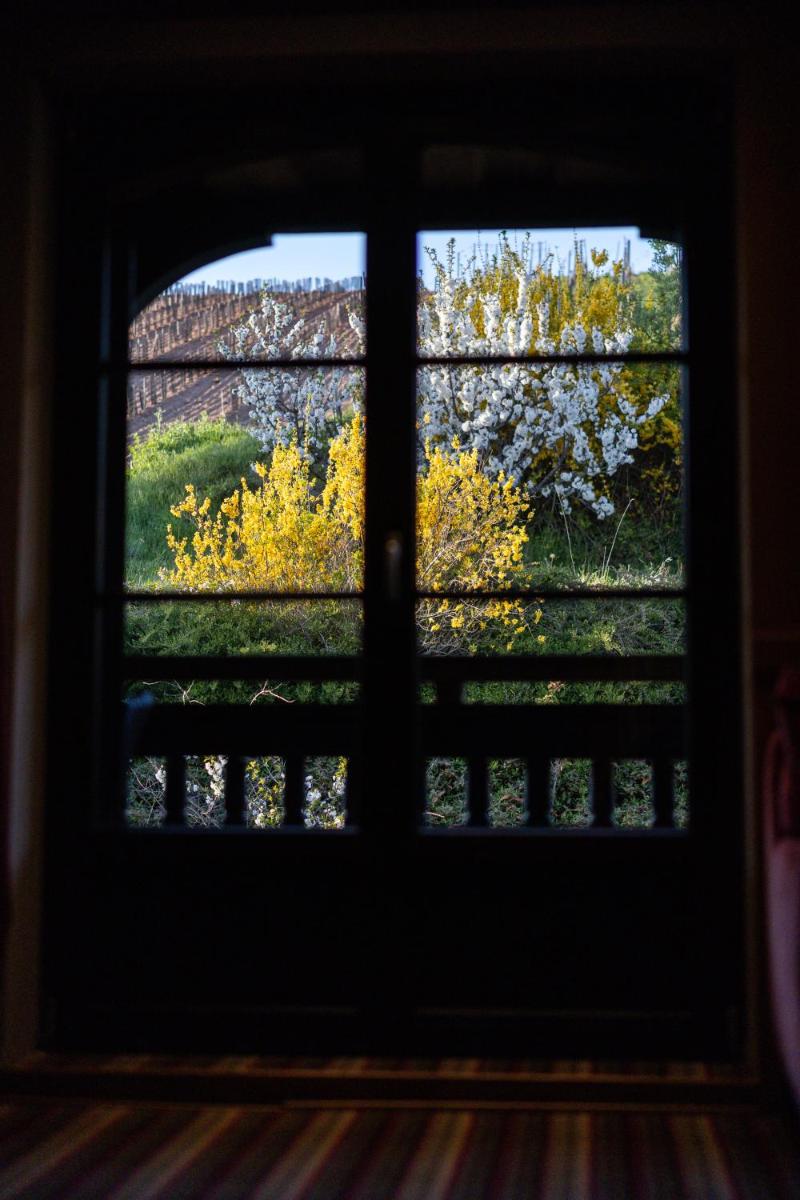 Photo de la galerie de l'établissement Hôtel Arnold, à Itterswiller