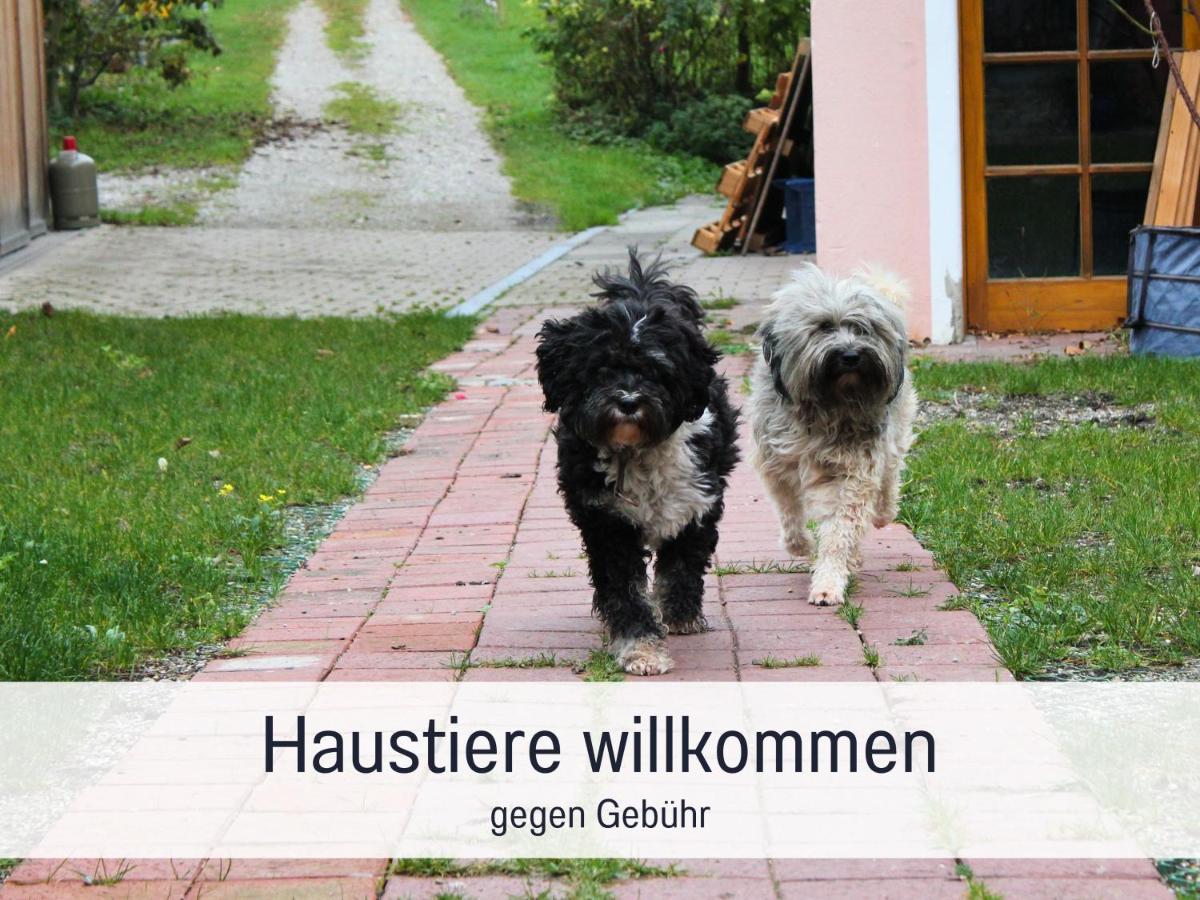 SEEZEIT Ferienwohnungen am Mühlbach BRIGHT Collection - Housity