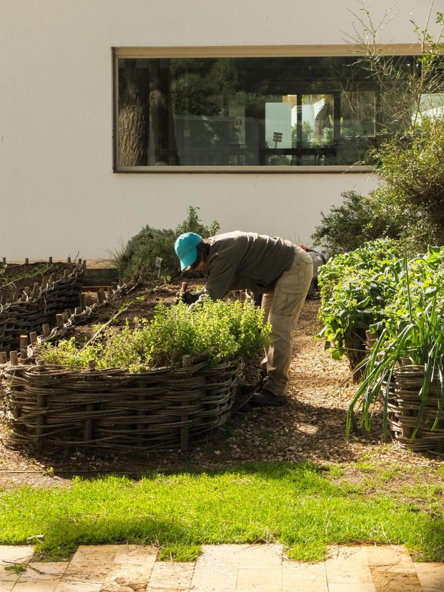 Jardín al aire libre en Hostal Empúries