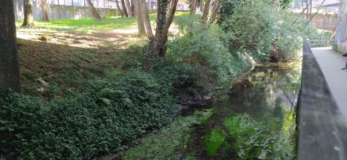 Moderno y luminoso 2 dormitorios con todas las comodidades en Pontevedra ciudad - Housity