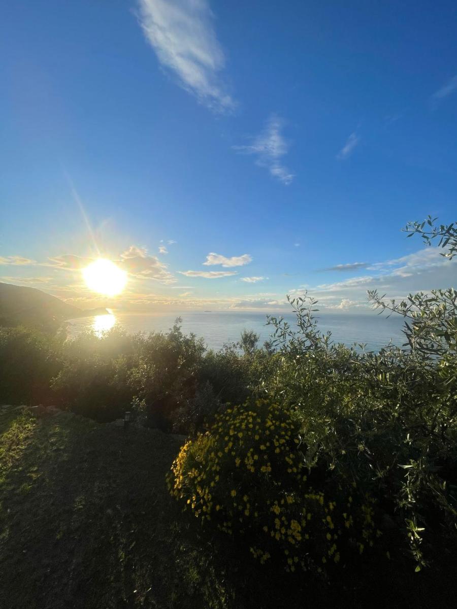 Ariadimare guest house - Housity