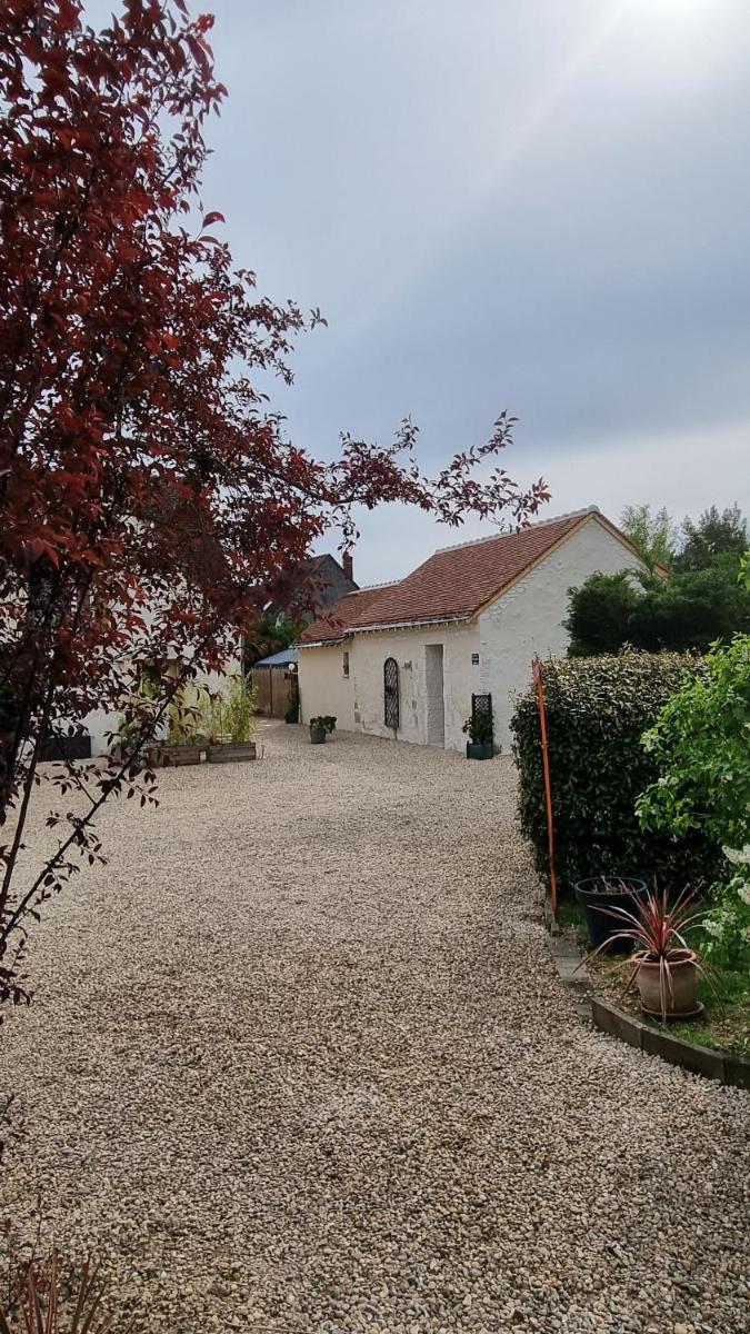 Les Gîtes Mina - Housity
