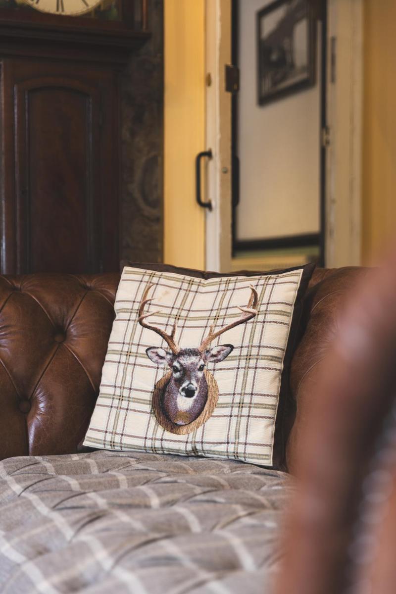 The Famous Bein Inn Hotel - Housity