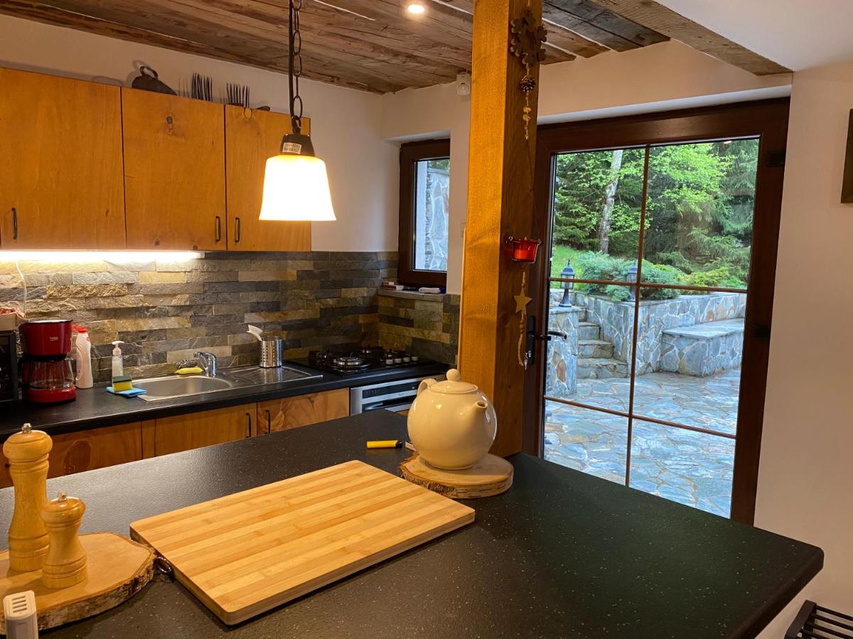 Mountain Chalet - Cabana la Muntele Baisorii - Housity