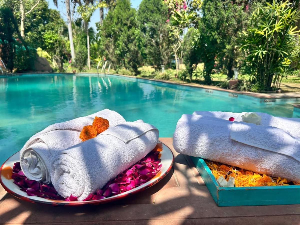 Hostie Chinar Haveli - Heritage home with Pool, Gurgaon - Housity