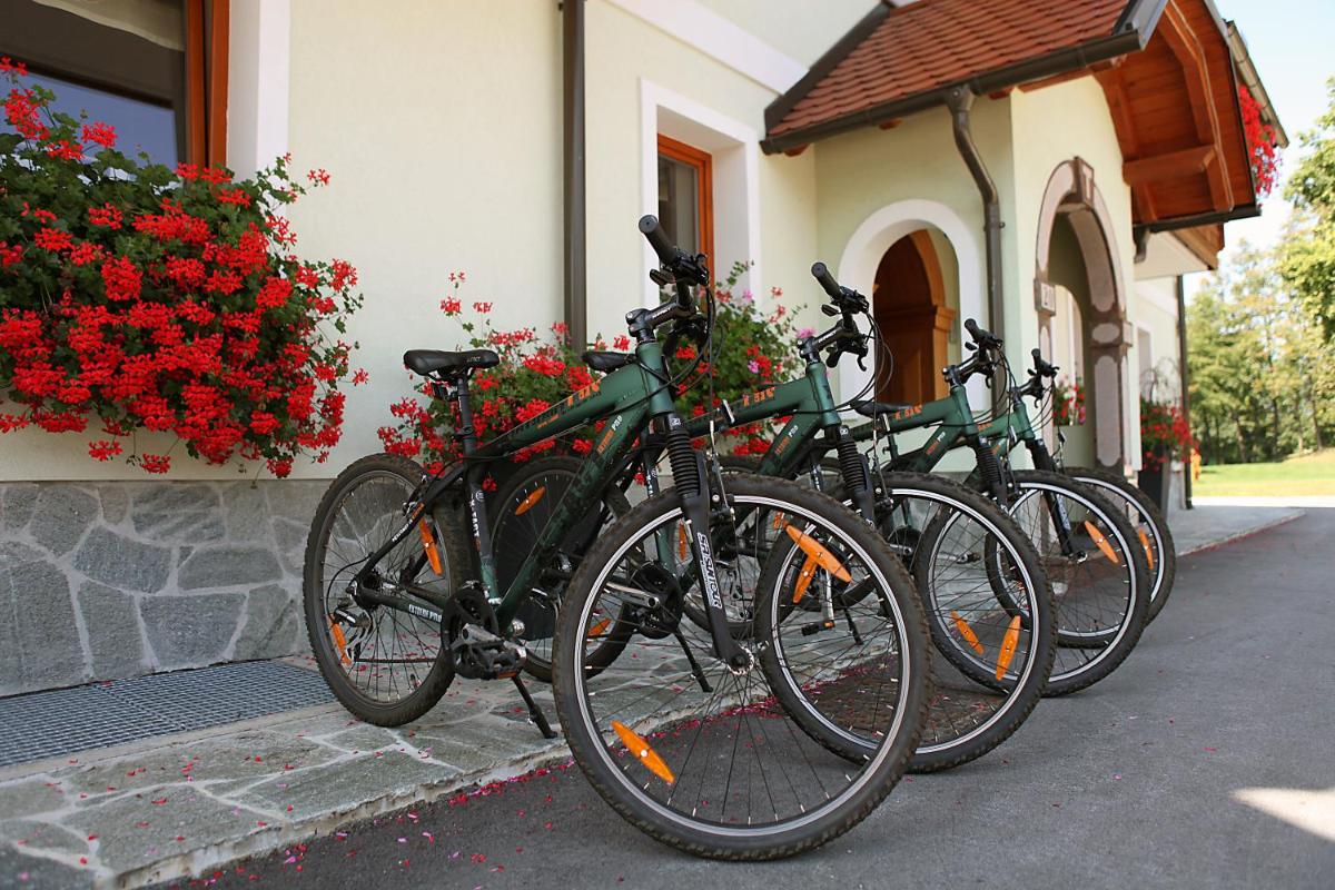 Pension Török - Housity