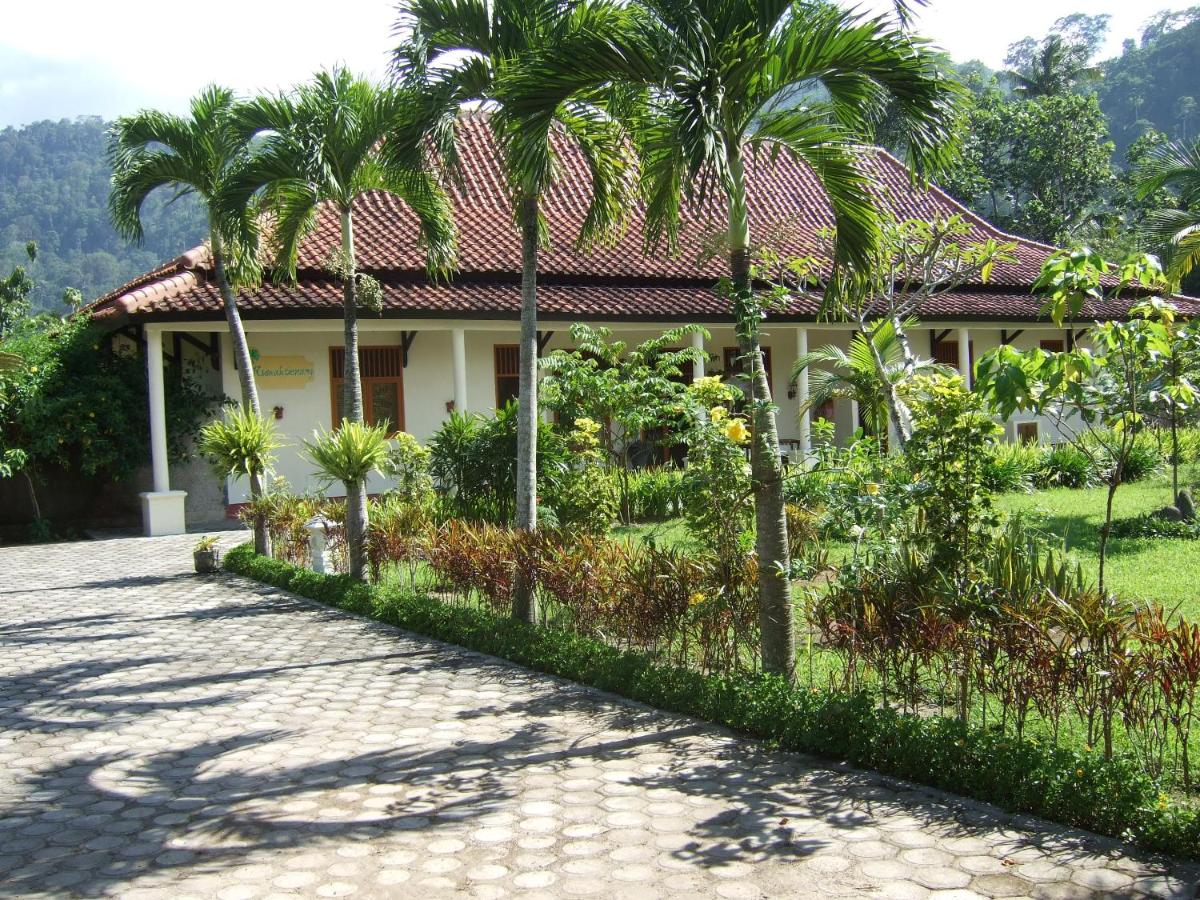 Guesthouse Rumah Senang - Housity