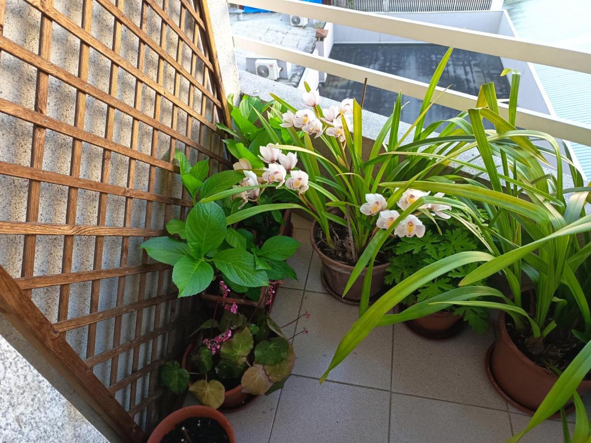 Vivienda Caseiro - Housity