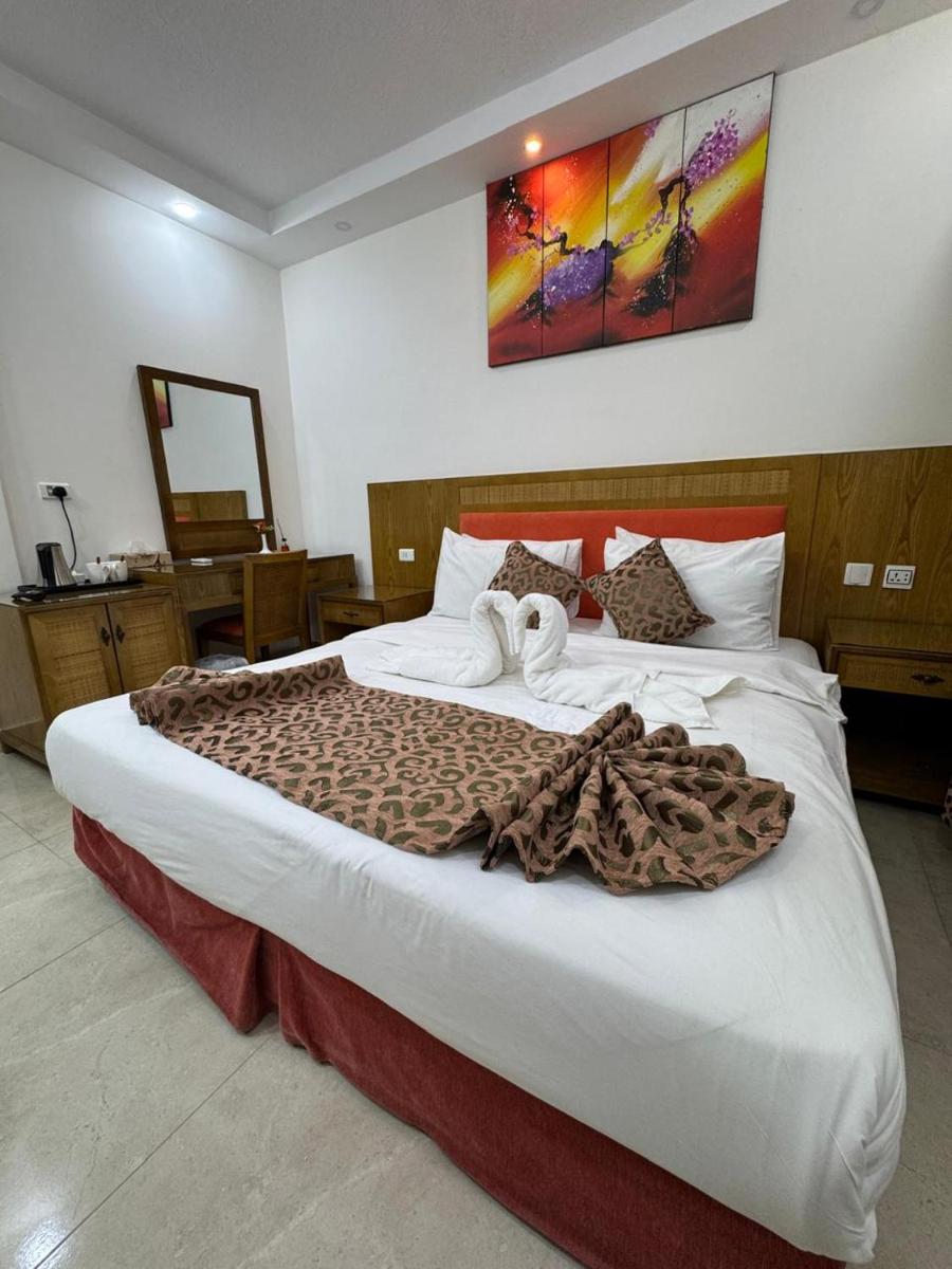 Petra Rocks Hotel - Housity