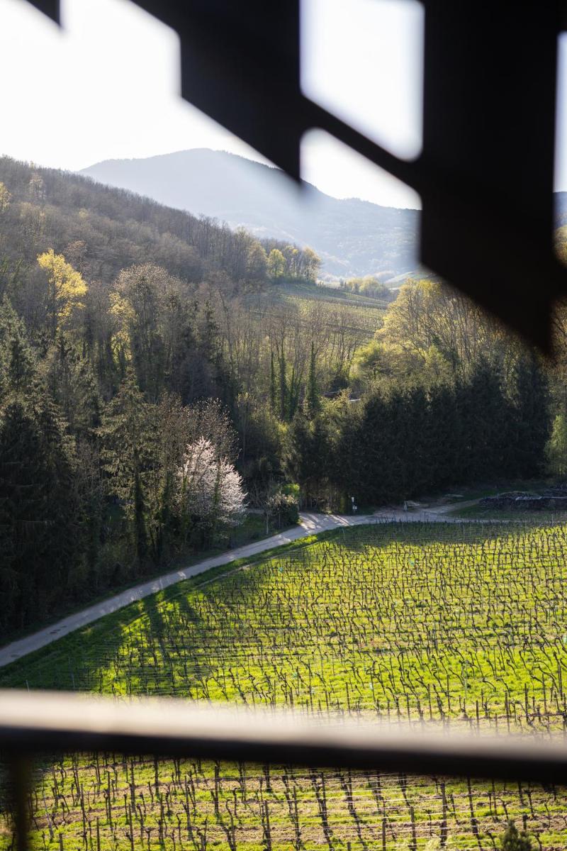 Paysage naturel près de l'hôtel