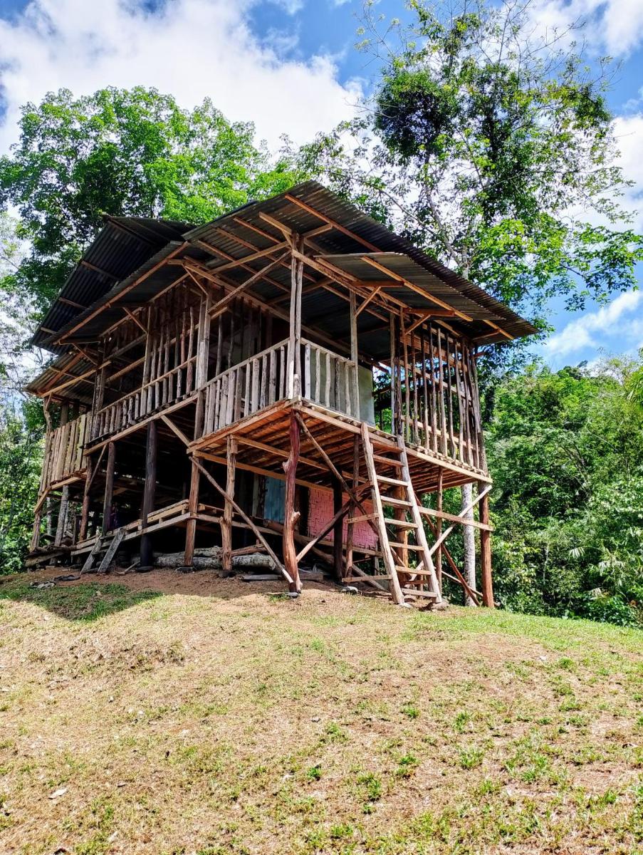 ORANGUTANTREKSUMATRA & LOVELY JUNGLE LODGE only book IF you are treking with us - Housity