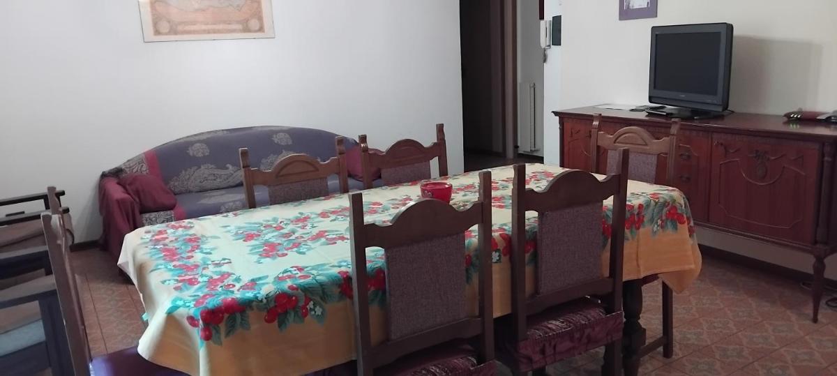 House of cats - Hizvo
