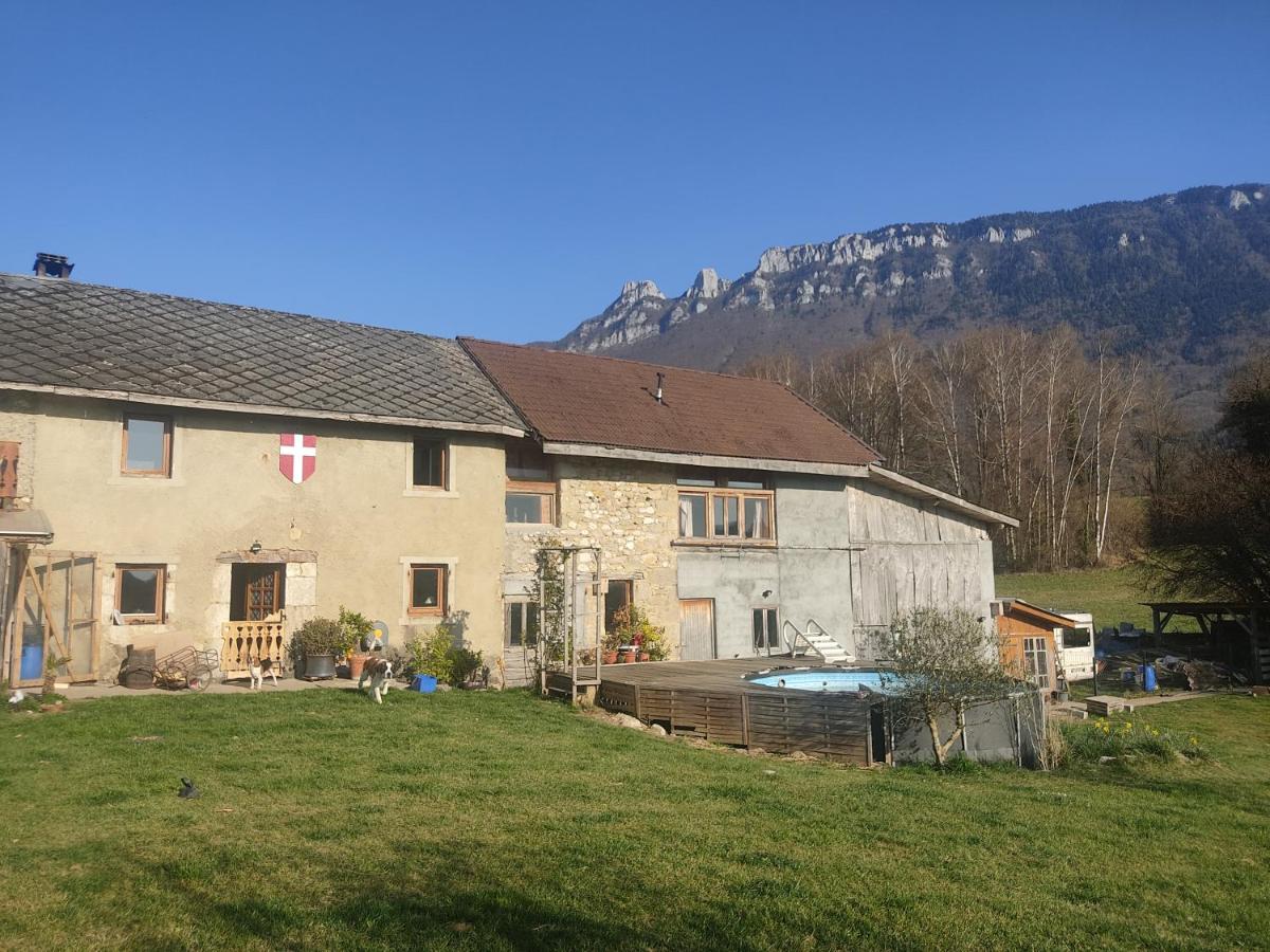 La chambre Nature chez les garçons - Housity