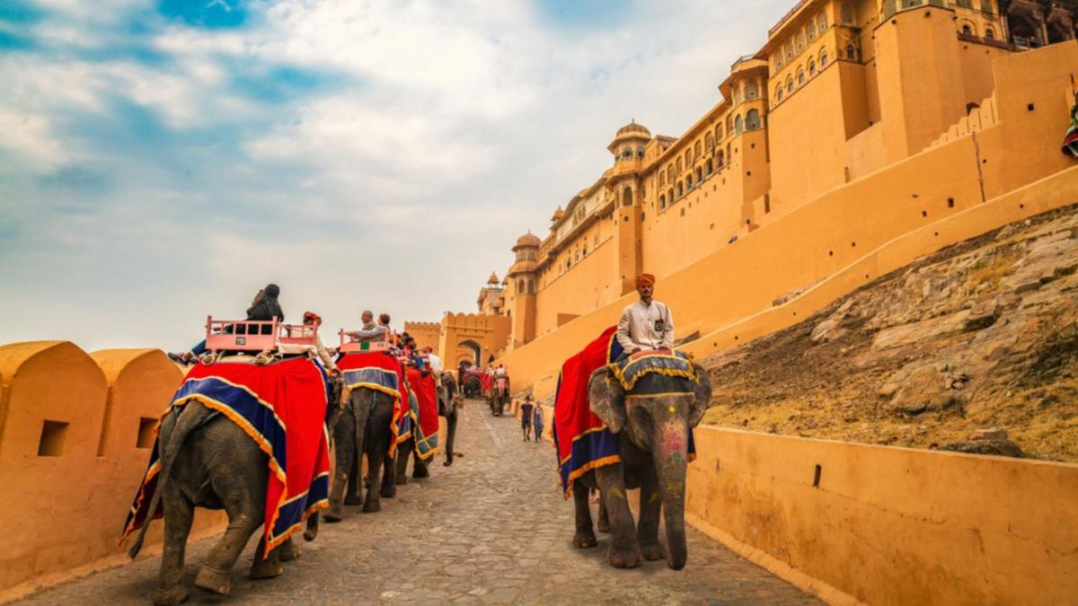 a group of elephants walking down a street with people on them at Holiday Inn Jaipur City Centre by IHG in Jaipur a group of elephants walking down a street with people on them at Holiday Inn Jaipur City Centre by IHG in Jaipur