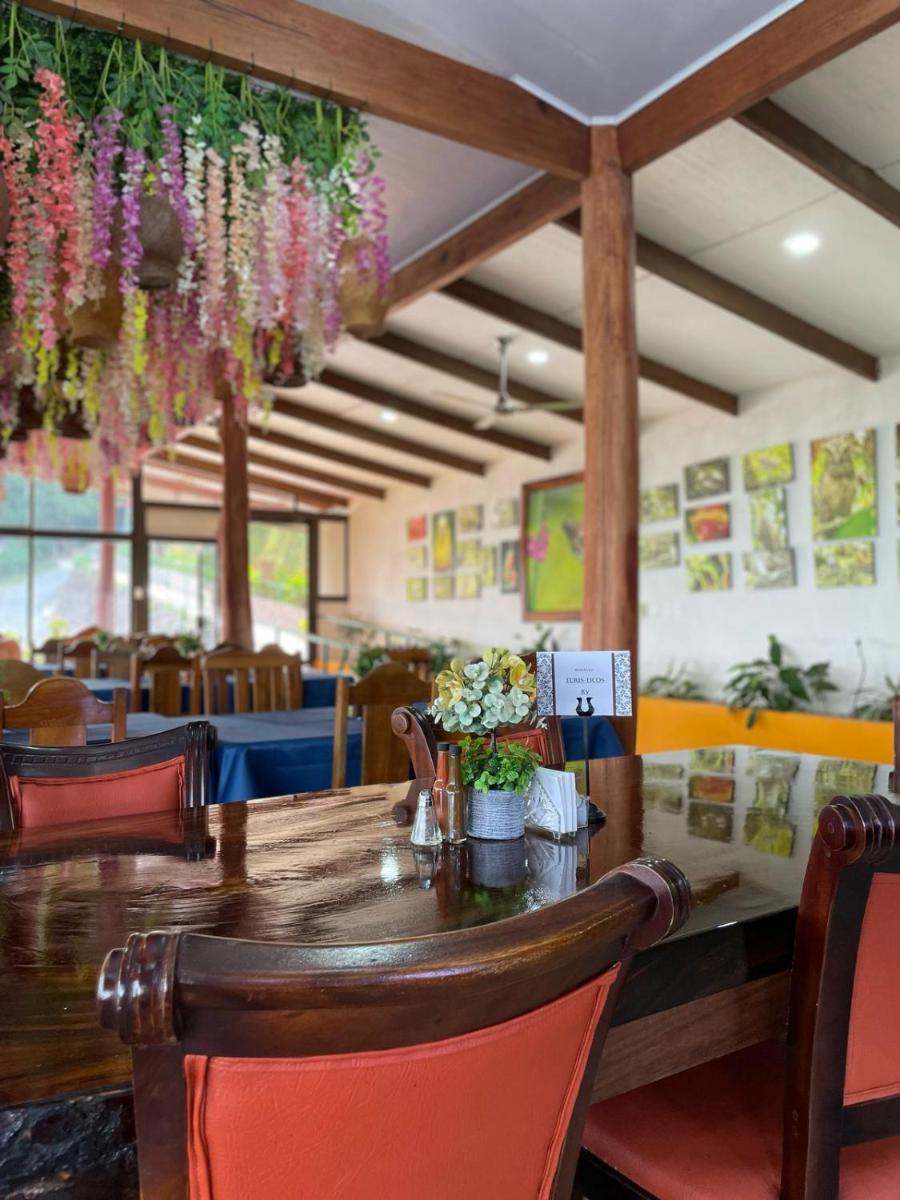 Hotel y Puentes Colgantes Heliconias Rainforest Lodge - Housity