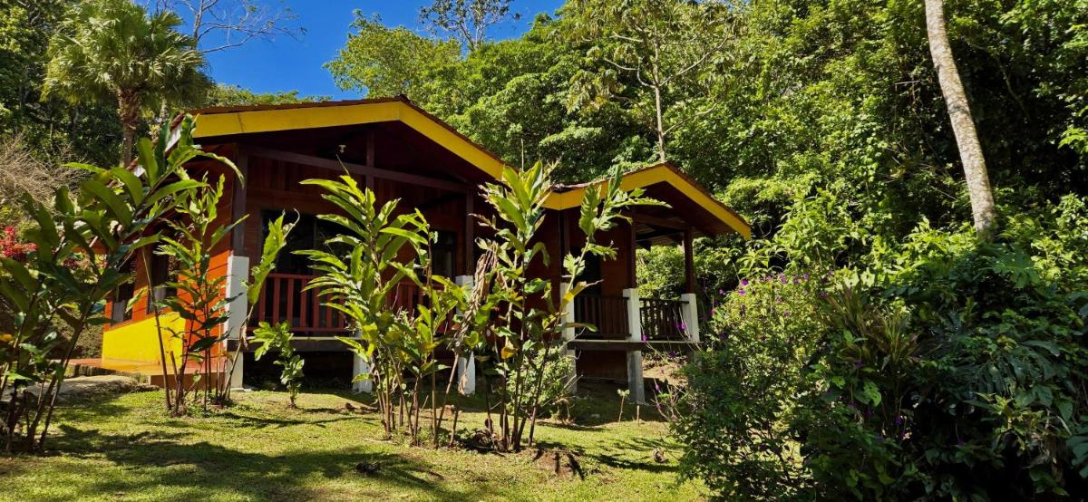 Hotel y Puentes Colgantes Heliconias Rainforest Lodge - Housity
